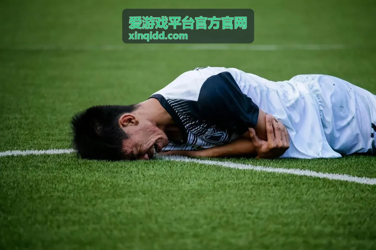 爱游戏平台官方官网平台介绍页面的服务说明视觉图